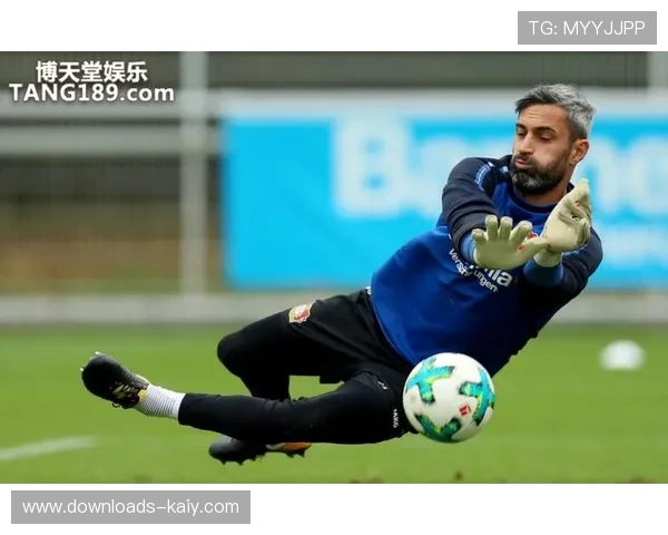 沃尔夫斯堡主场安装光伏系统，环保理念融入战术展示